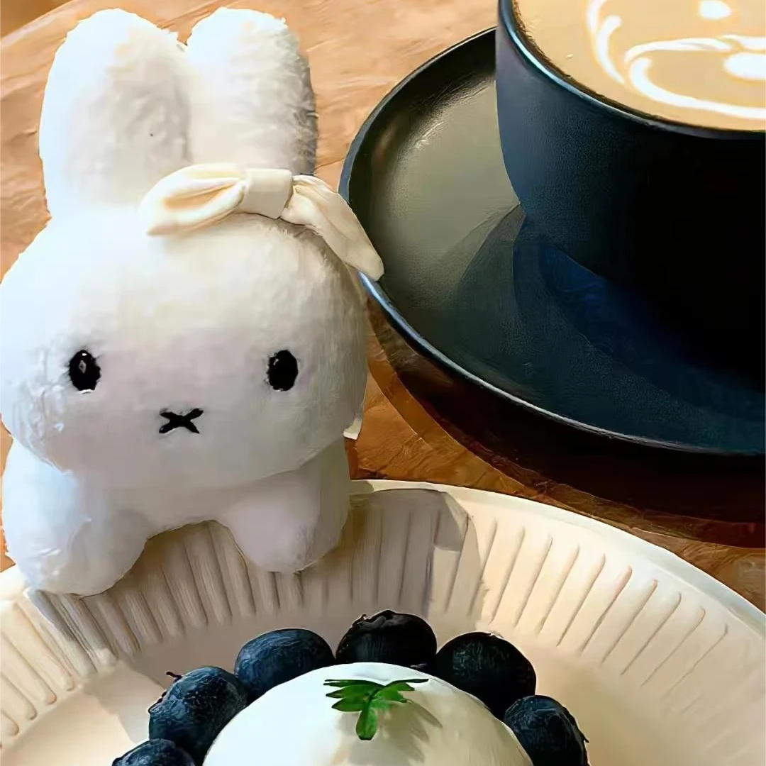 BRUNA FAMILY兔子包绳玩偶韩国正品米菲趴趴兔miffy