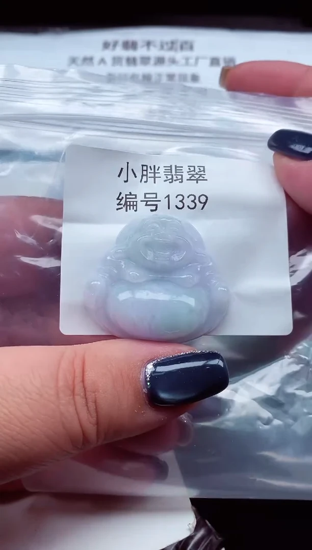 颈饰未镶嵌翡翠缅甸天然A货翡翠1339