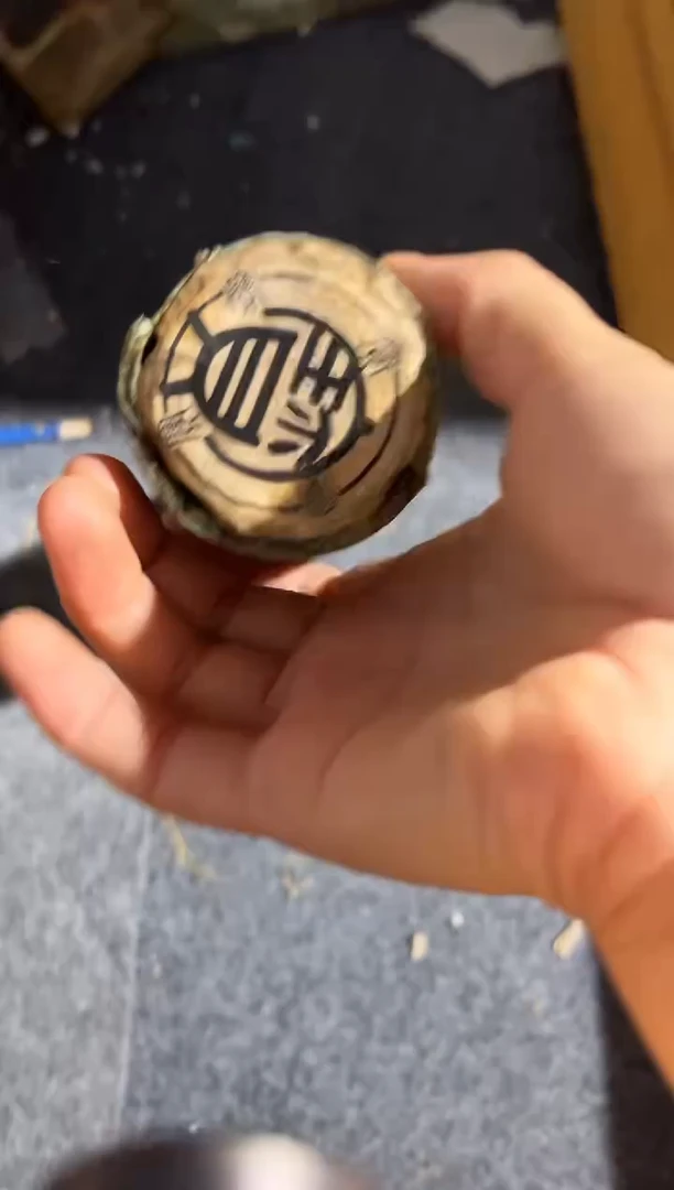 黄杨木11111111111111