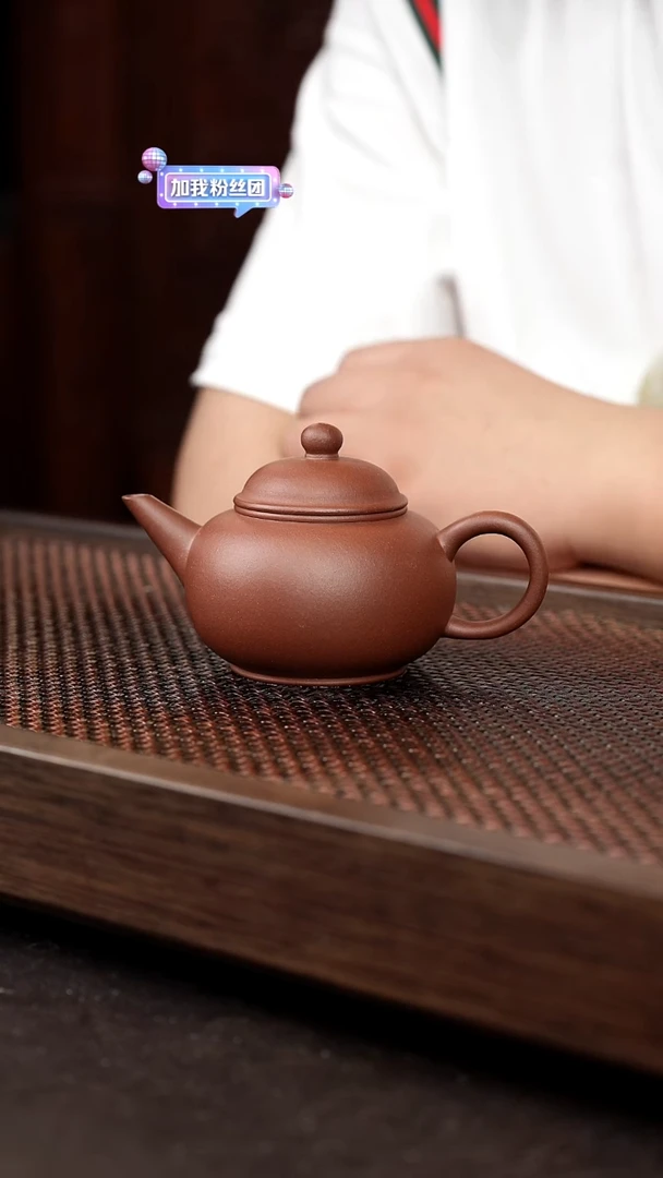 茶壶紫砂红皮龙水平