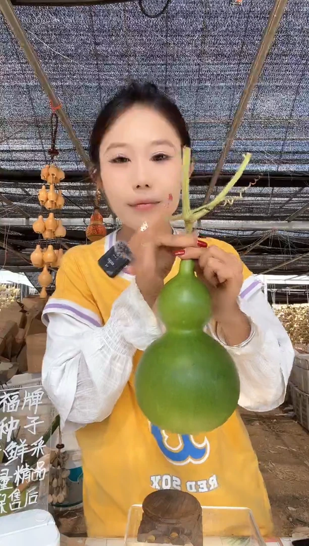 050天然葫芦摆件 一物一拍龙头不保售后