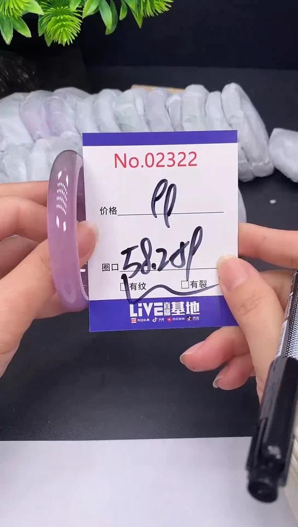 未镶嵌手镯翡翠2322
