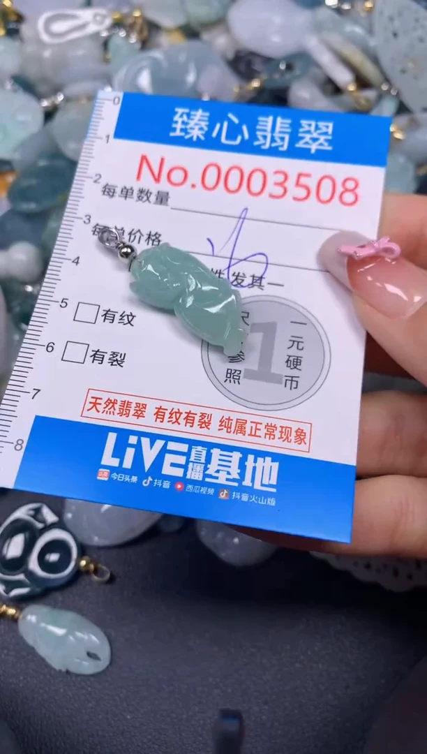 【闪购商品】翡翠颈饰未镶嵌含绳0003508