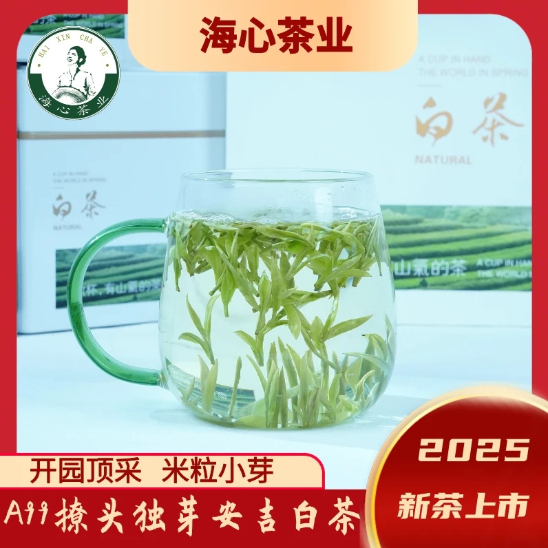 【A99安吉白茶】撩头顶芽正宗溪龙核心产区海心茶业2025新茶