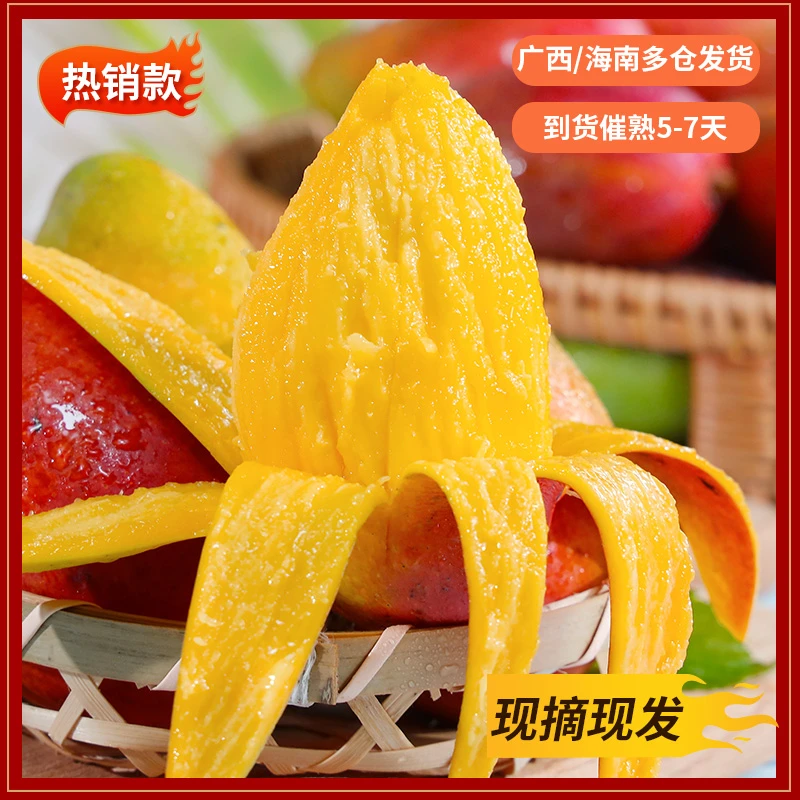 2025年海南头茬小贵妃芒 新鲜水果