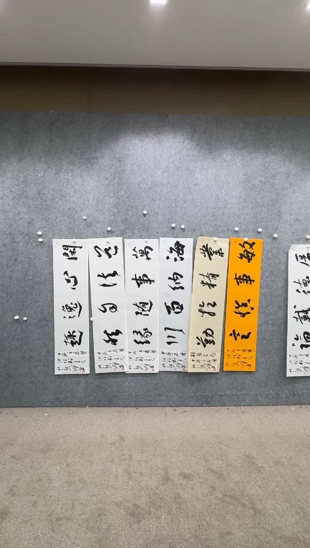 【闪购商品】书法pmw不二轩旗舰店书法ZXQ19