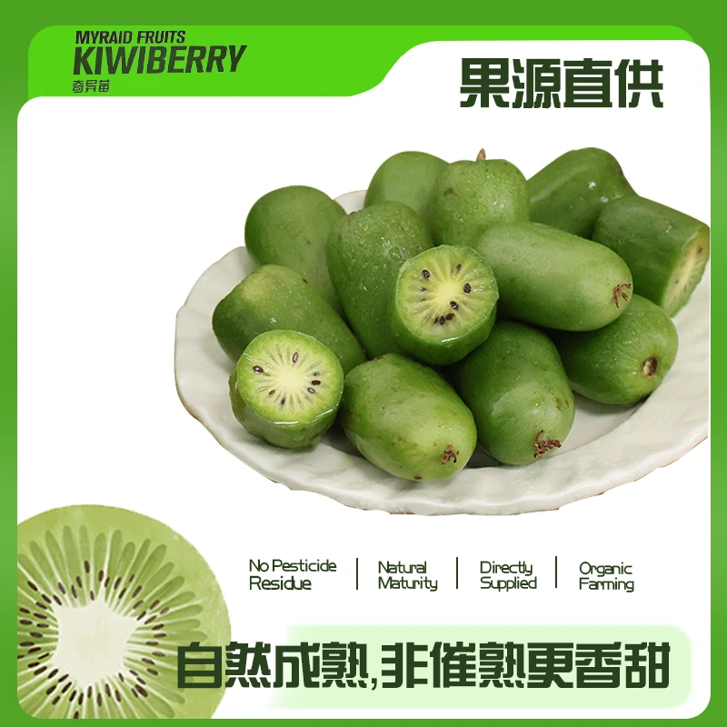 丹东特产软枣奇异莓酸甜多汁放软再吃呀~