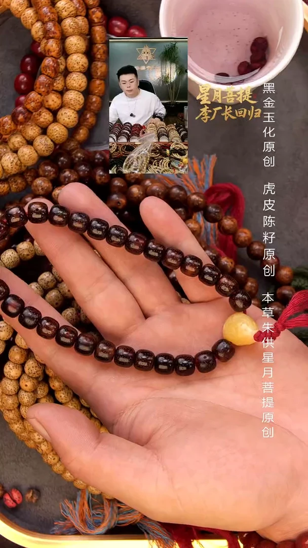 手串星月菩提黑金玉化陈籽手持9*10