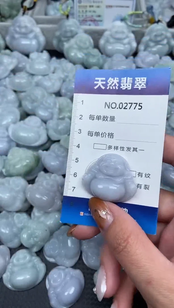 颈饰未镶嵌翡翠纯天然A货翡翠2775