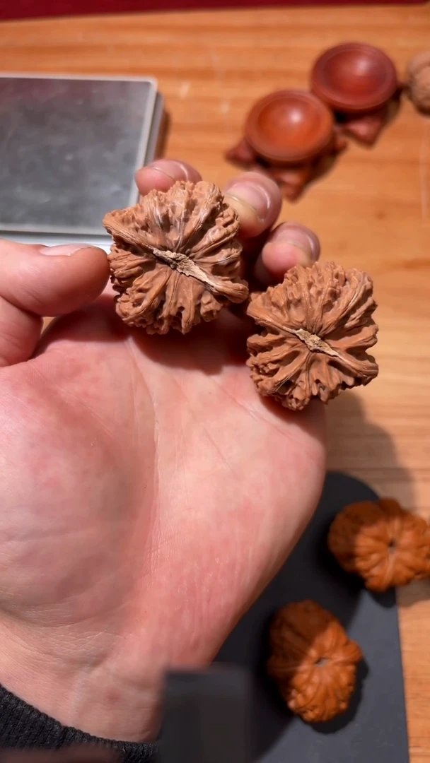 把件文玩核桃42渡鸦石膏底密文文玩核桃