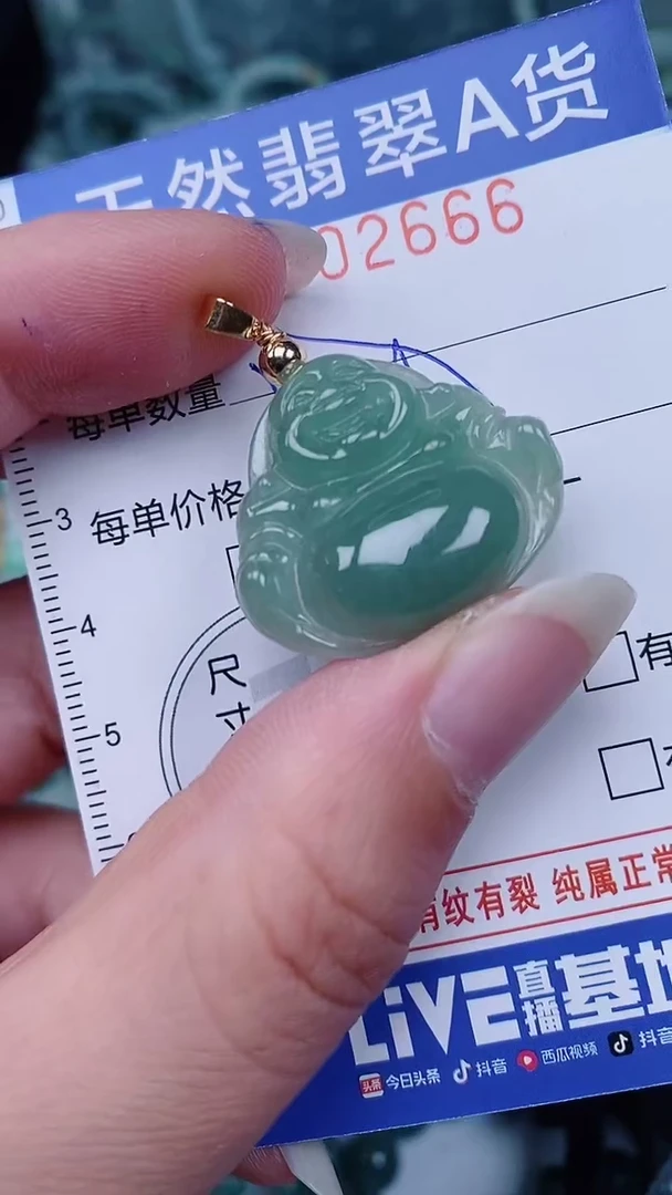 翡翠未镶嵌颈饰00002666