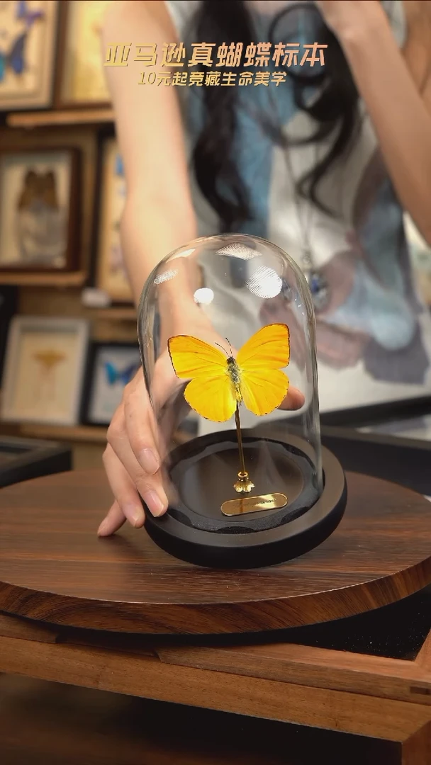 杏菲粉蝶小号玻璃罩