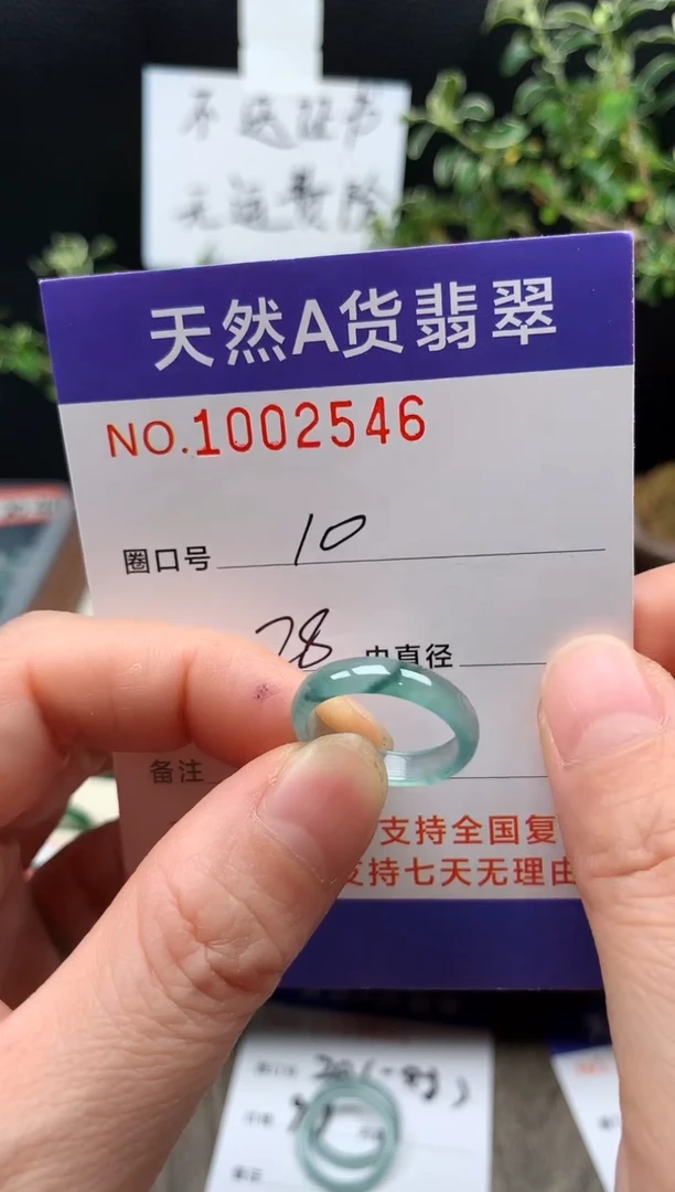 未镶嵌戒指翡翠10#