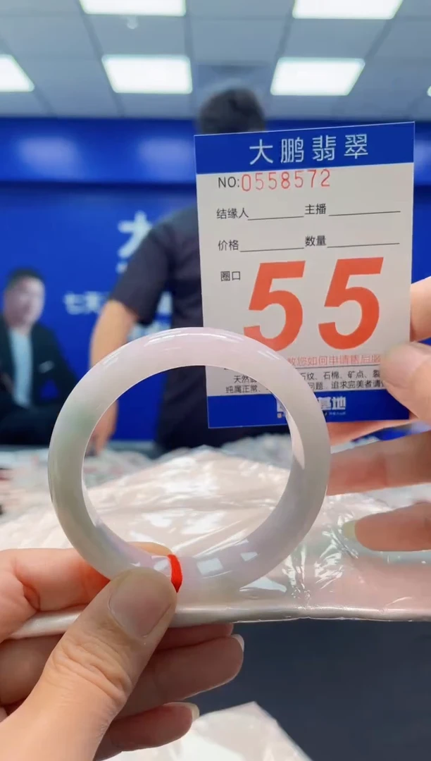 未镶嵌手镯翡翠AAAAAAAAA