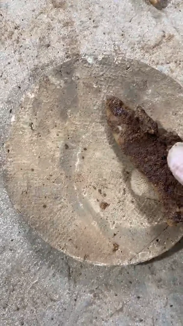 瓷片手工，手绘，陶瓷