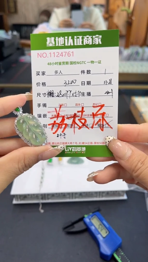 吊坠(不含链)银S925镶嵌翡翠多人