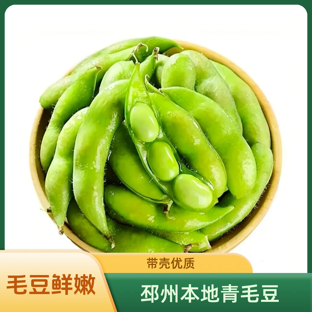 毛豆新鲜带壳青毛豆嫩豆荚黄豆大豆商用本地农家自采蔬菜