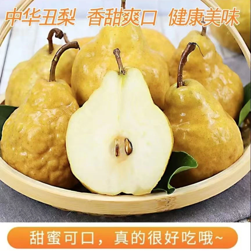 正宗莱阳冰淇淋丑梨放软后吃软糯爆汁梨味浓郁4.5斤坏果包赔