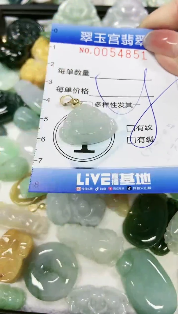 【闪购商品】翡翠颈饰未镶嵌闪购0054851