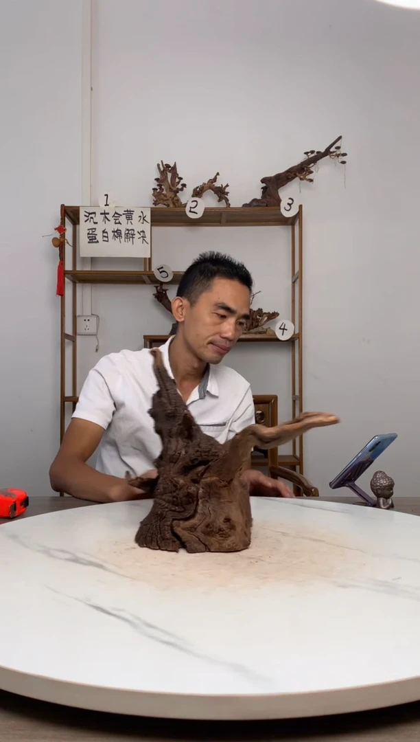 微**堂鱼缸造景沉木摆件