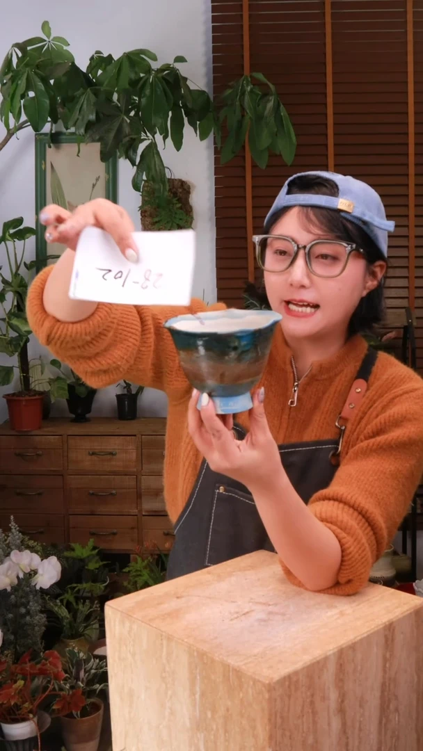 无花朵 28-102 一个盆 中通发货