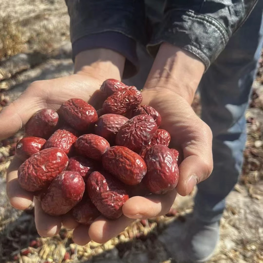 2024年新疆灰枣原生态自然吊干一级二级好枣原产地直发包邮