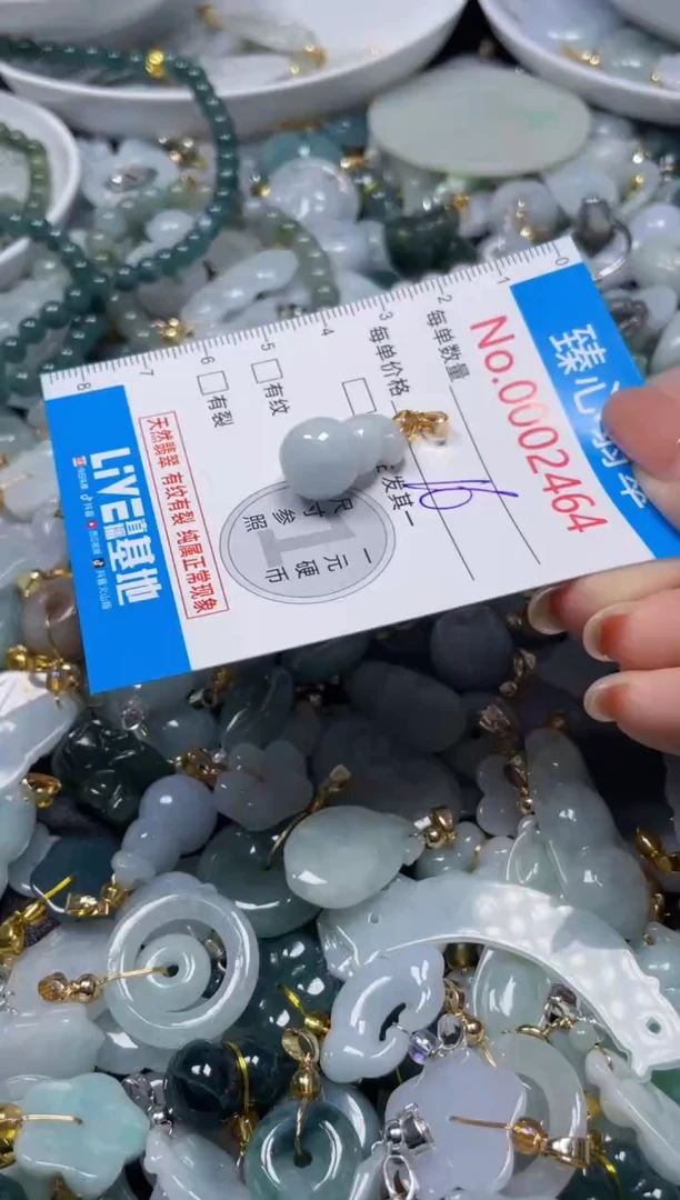 颈饰未镶嵌翡翠2464