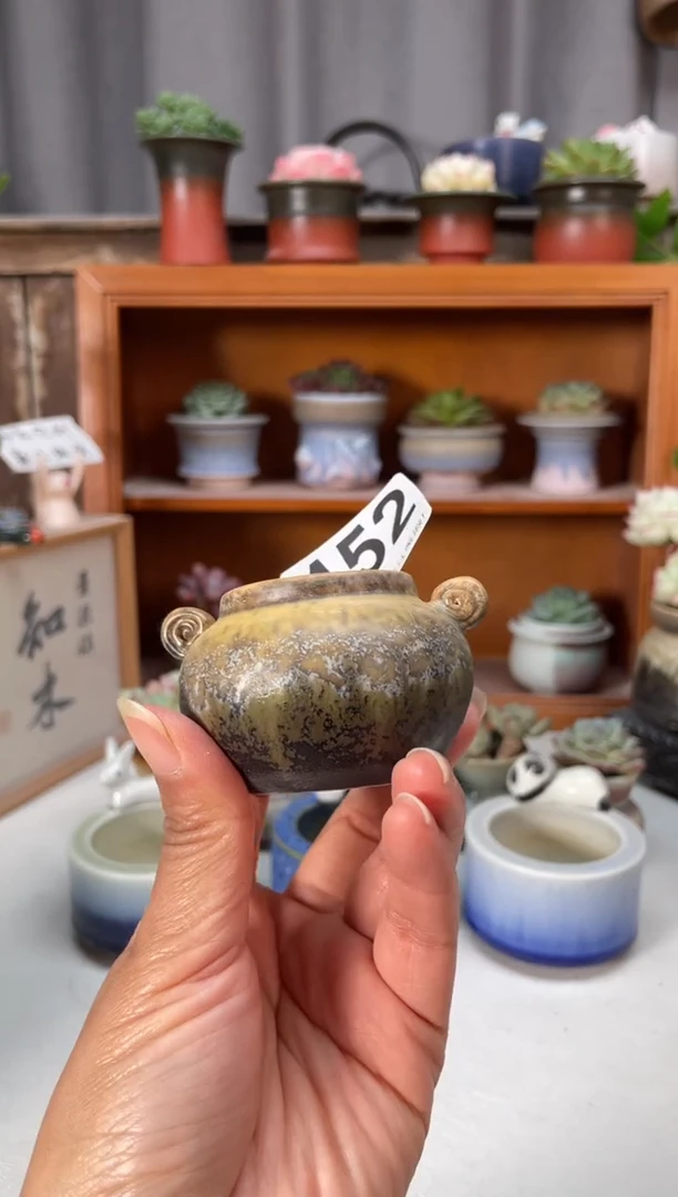 瓷片452小芳直播编号