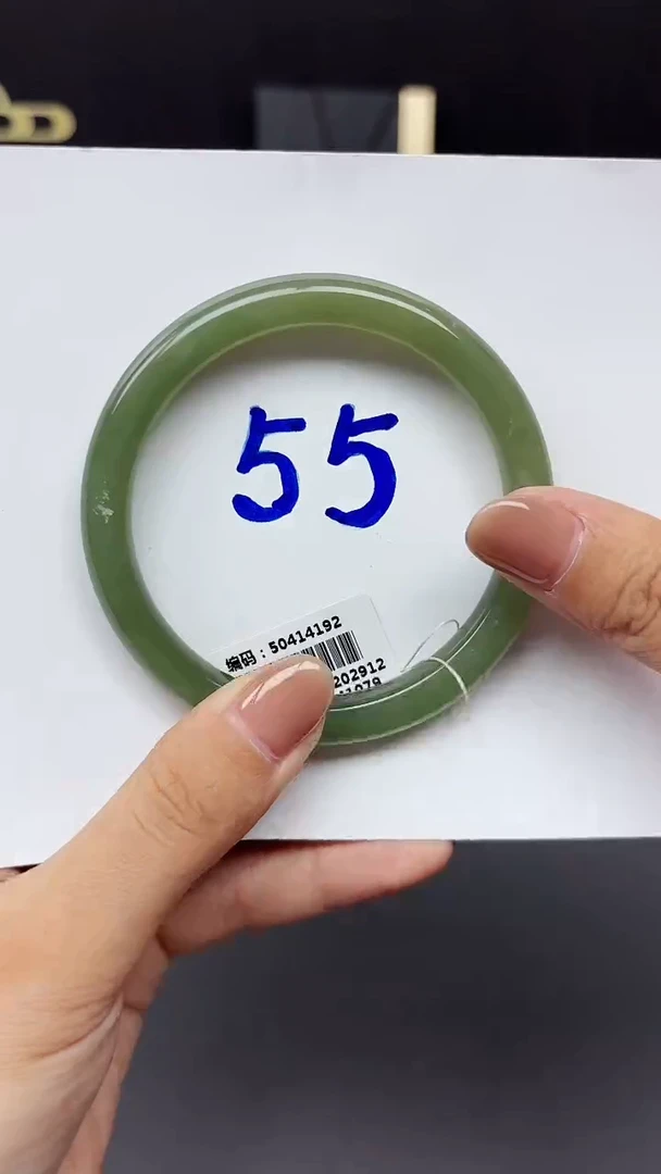 未镶嵌手镯和田玉4192