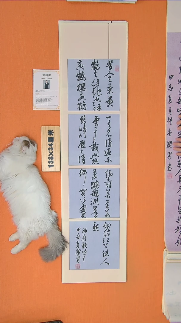 书法谢老师书法作品138*34黄鹤楼