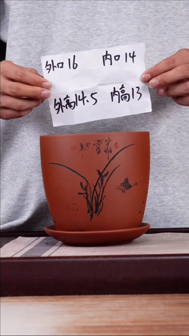 紫砂花盆清水泥君子兰2号一只带托