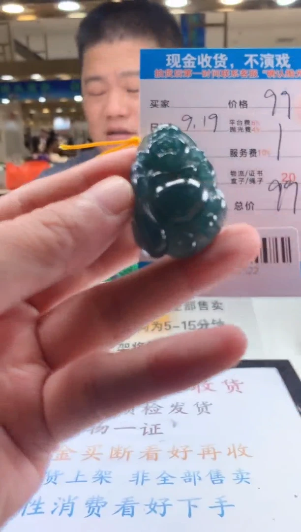 颈饰未镶嵌翡翠天然翡翠A货拍一发一