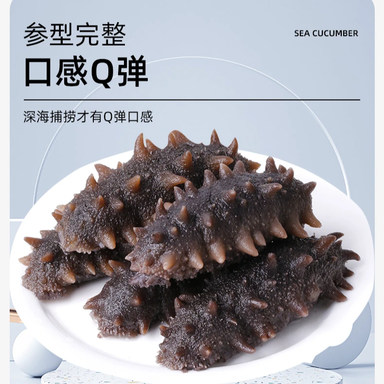 鲜食海参尝鲜装15-16头/1斤