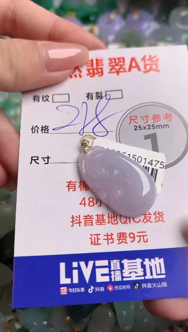 翡翠18K金镶嵌颈饰0497446651