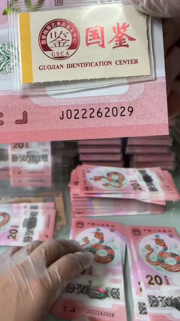 【闪购商品】塑料022262029-蛇钞单张