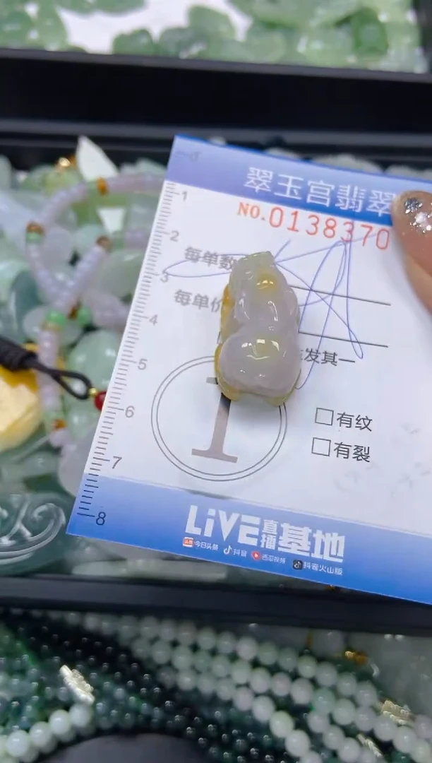 翡翠未镶嵌颈饰闪购0138370