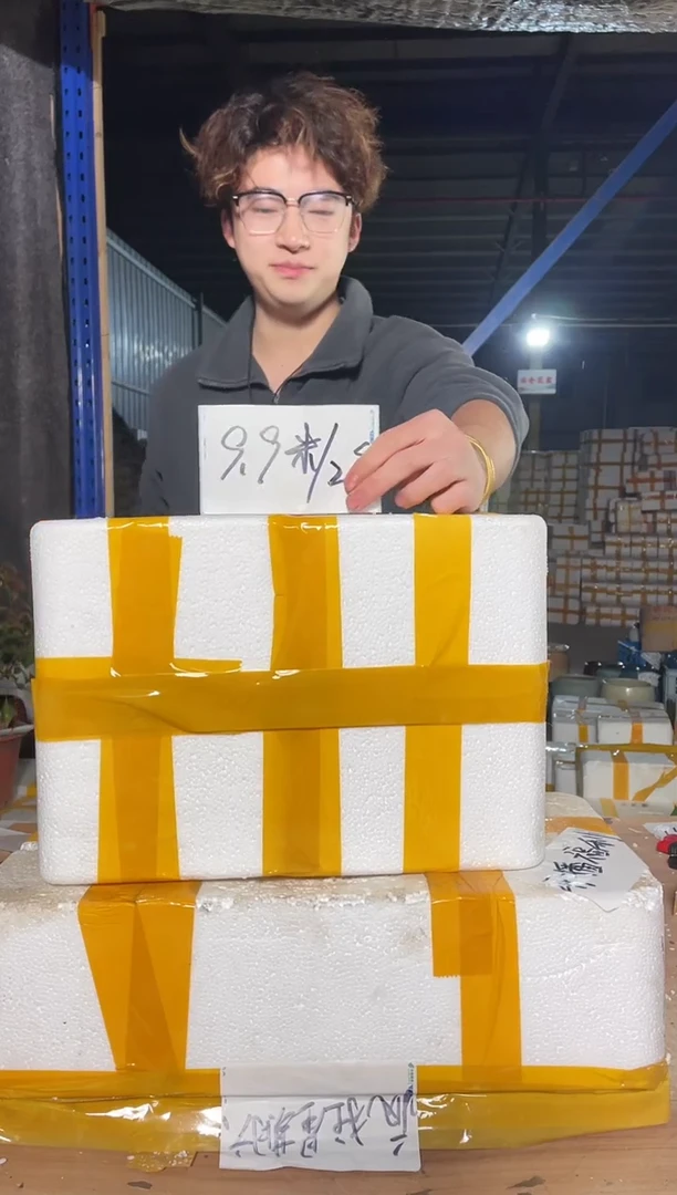 紫砂花盆宜兴紫砂粗陶花盆9.9/1