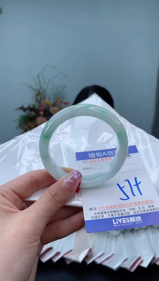 未镶嵌手镯翡翠2