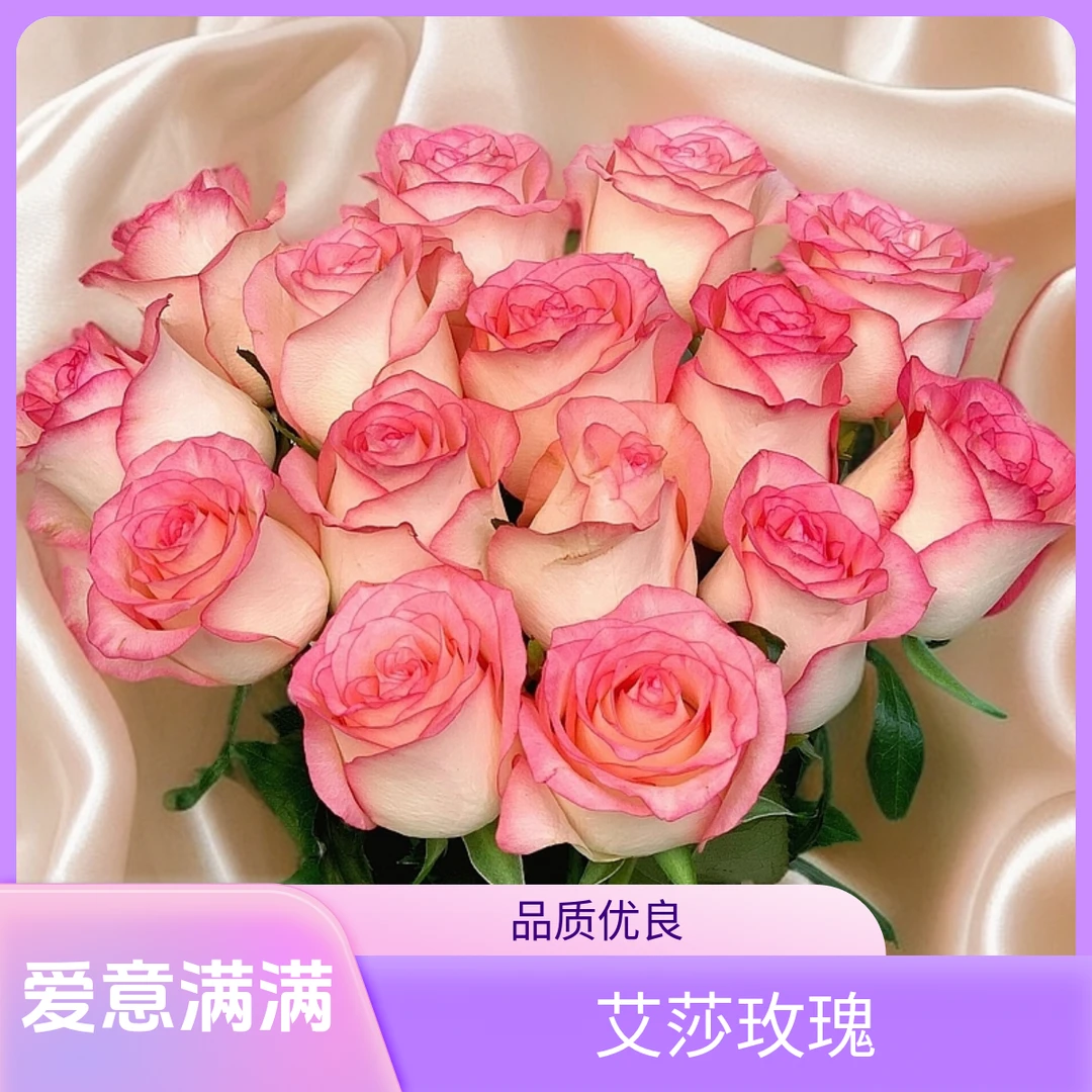 艾莎玫瑰：拍下10+10防损耗（哈尔滨发货，收到需要醒花）