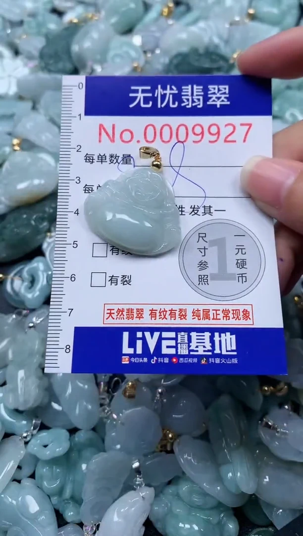 颈饰未镶嵌翡翠9927