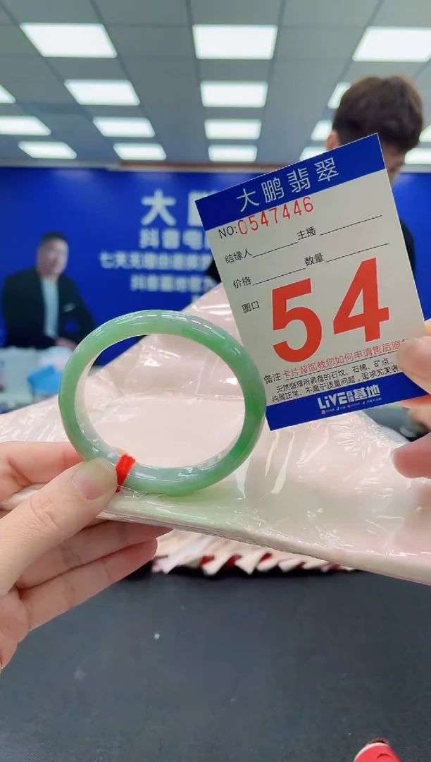 未镶嵌手镯翡翠AAAAAAAAA