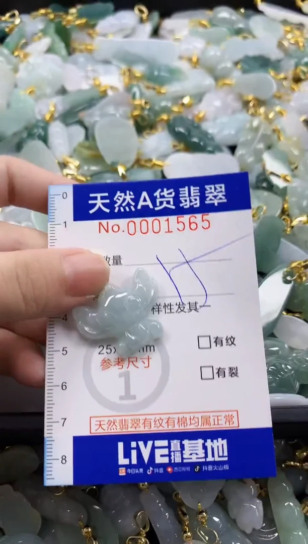 颈饰未镶嵌翡翠天然A货翡翠