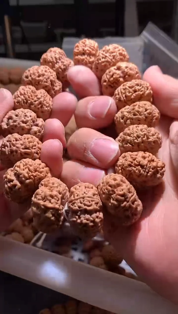 金刚菩提手串583