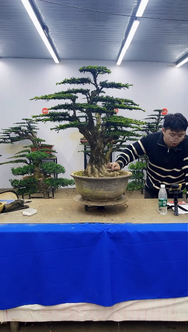 完全开放一物一拍，所见即所得