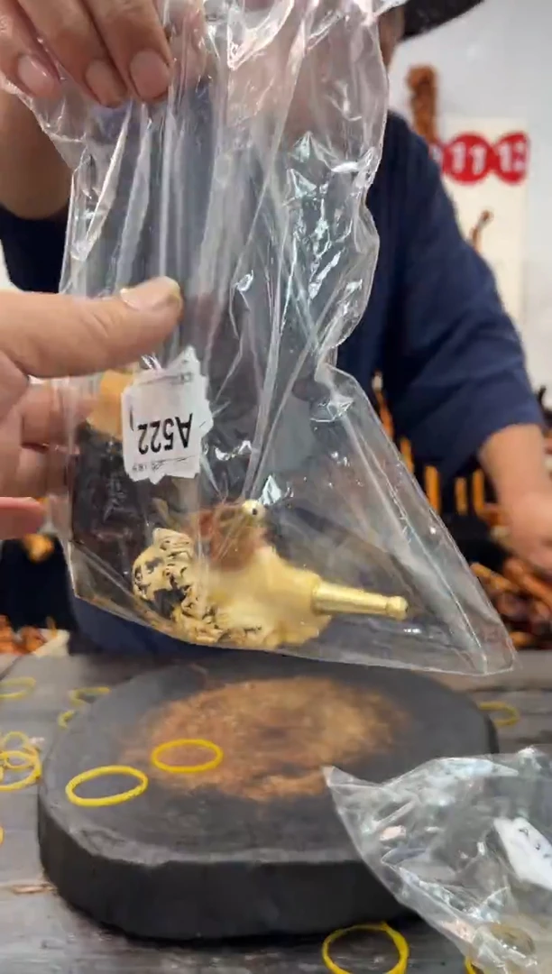 黑果木其他黑果木654