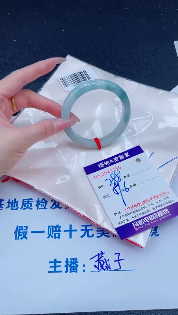未镶嵌手镯翡翠288