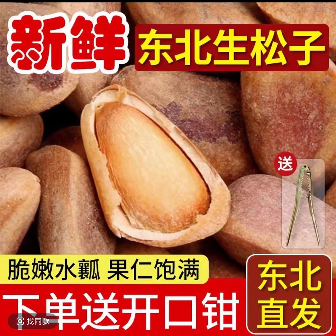 《张伟专属》深山鲜松子（生松子）1000克顺丰包邮送夹子