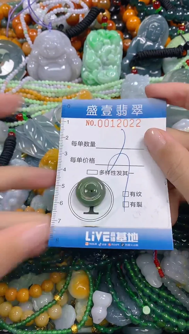 颈饰未镶嵌翡翠闪购0012022