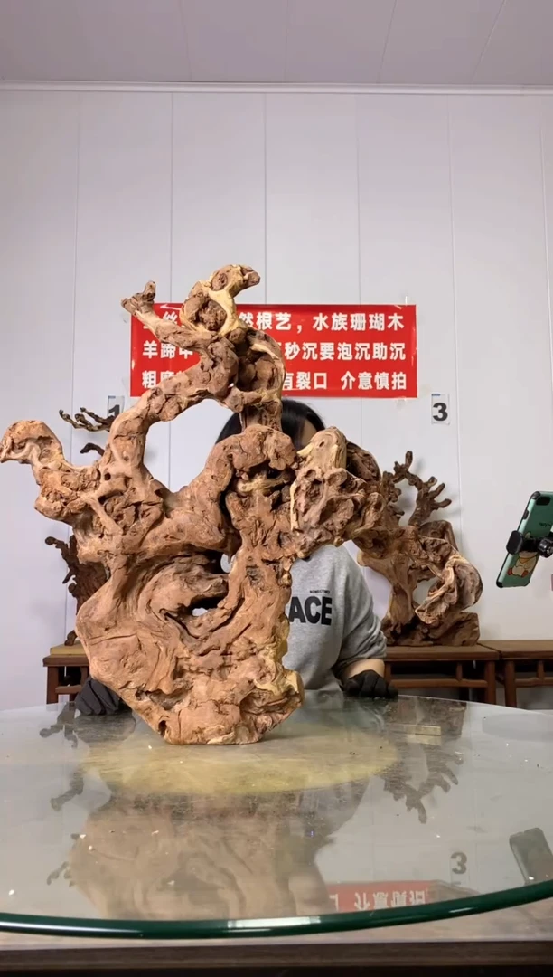 【闪购商品】木160金丝红木 羊蹄甲