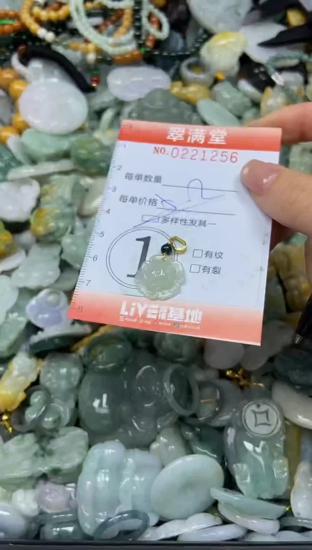 颈饰未镶嵌翡翠闪购0221256多样性发其一